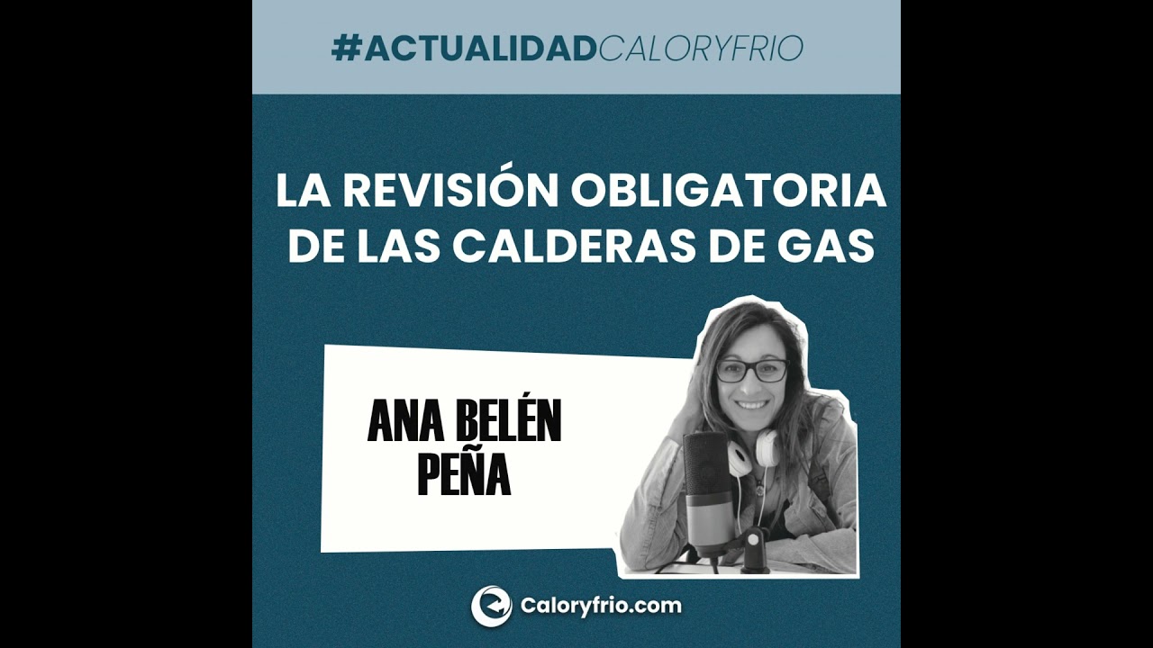 Mantenimiento Eficiente de Calentadores para Ahorro Energético
