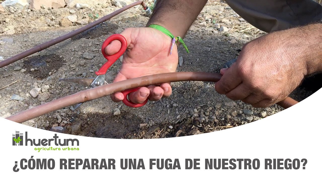 Reparación Eficiente de Fugas y Roturas en Tuberías